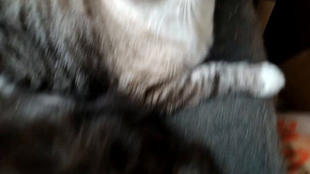 Апрель, а потом август смотреть онлайн