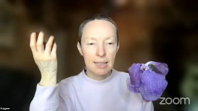 7 докторов. 1-е занятие. 19.12.2021 смотреть онлайн