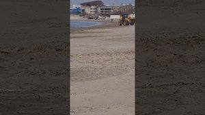МОРЕ В БЕДЕ!