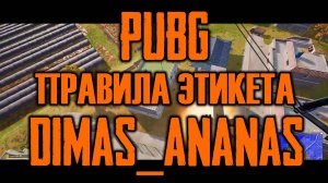 Димас_Ананас Правила Этикета / игра PUBG: Battlegrounds