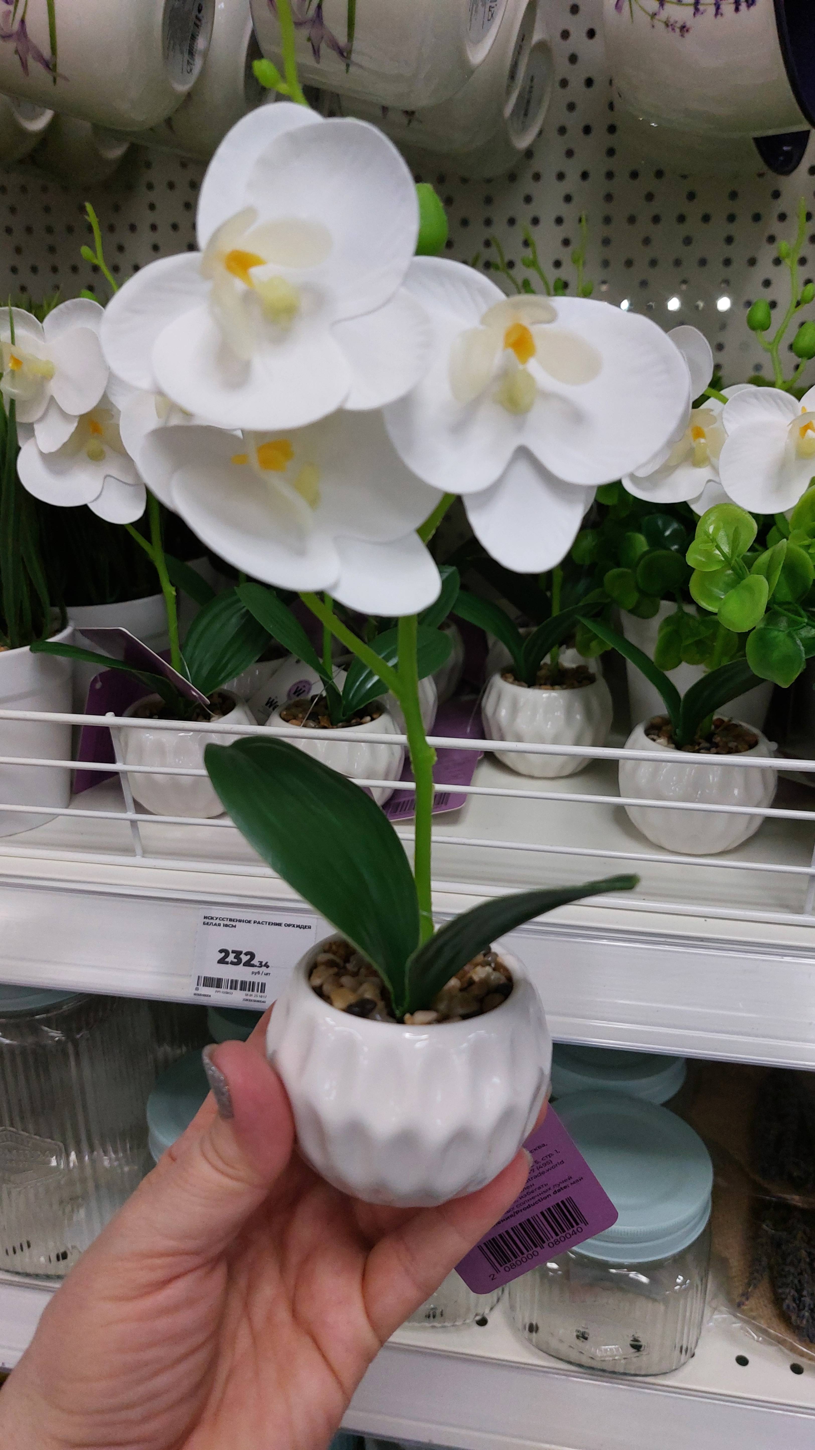 Прекрасные новинки 2025 весенняя коллекция в Магнит Косметик