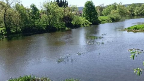 Мария Метлицкая. Алик - прекрасный сын. Аудиорассказ.