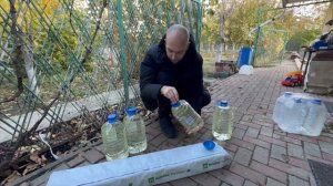 Домашний Стеллаж с Клубникой Из Семян 68 день - Капельный полив Маты Grodan Обзор субстратов