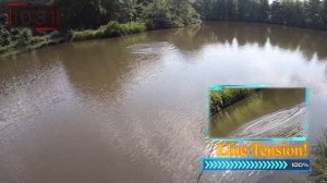 Abu Garcia Revo Alc-bf7 / Hornet stinger plus using Chebrashka Zman rig.