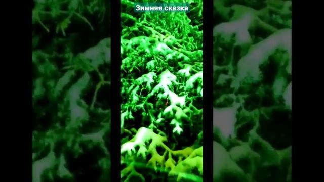 Зимняя сказка