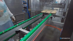 Bitrobotics: роботизированная система по опрыскиванию меланжем х/б изделий