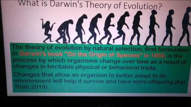 World History- The Origin of Humanity- with Prof. Antone смотреть онлайн