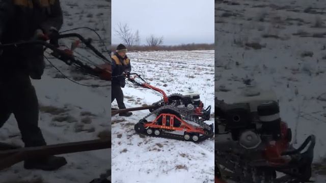 Перевоз сена в прицепе на мотоблоке с гусянками Крутец #гусеницы #гусеницыкрутец #гусеничныйпривод