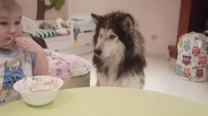 Как заставить ребенка есть