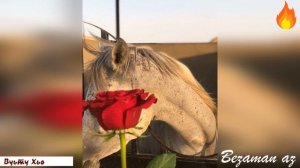 Амина Эльбазуева Вуьту Хьо😍