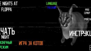 🐱 пельмени шлёпа хочет их съесть