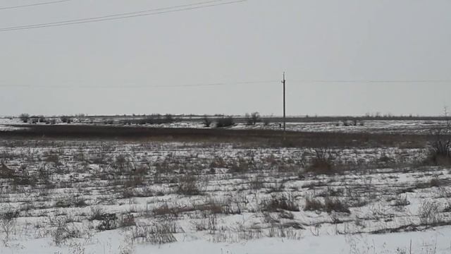 Охота пуще неволи !