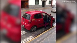 Why Did This Alpaca Get Into The Taxi In Cusco, Peru?