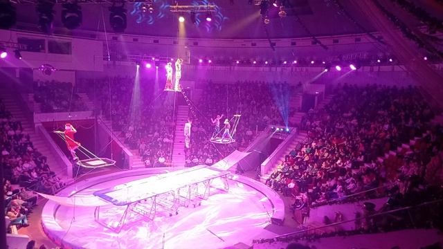 Тульский цирк - тропик шоу 2025