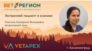 ВетРегион г.Калининград Екатерина Плюгина - Экстренный пациент в клинике