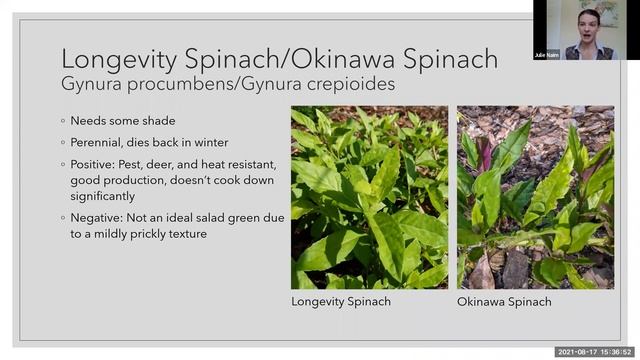 Webinar: How to Grow Greens