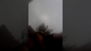 Убил жабу!
