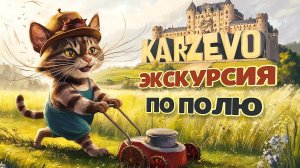 Небольшая экскурсия по полю с участками в Карцево