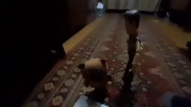 сборник n 9 ночной воришка