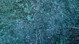 Грабли своими руками, грабли для мотоблока, конные грабли