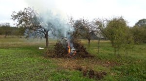 Разжигание костра бензином