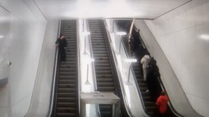 Из-за нарушения правил пребывания в метро г. Москвы, возникают такие чрезвычайные ситуации.