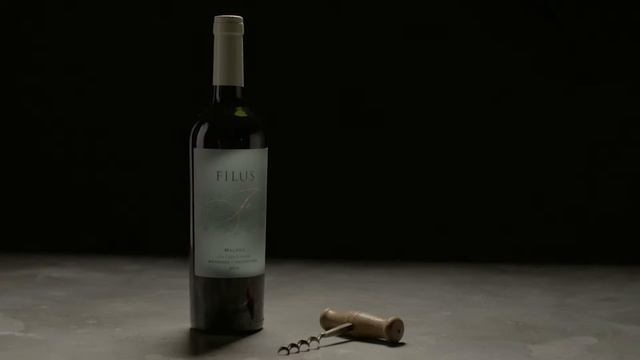 My Perfect 3 - Filus Malbec Uco Valley 2014 смотреть онлайн