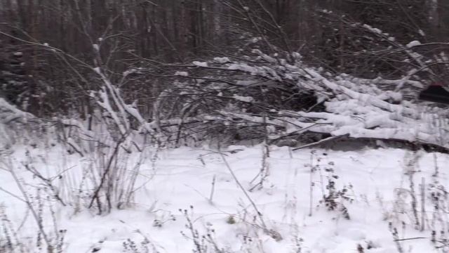 Правила и этика коллективной охоты