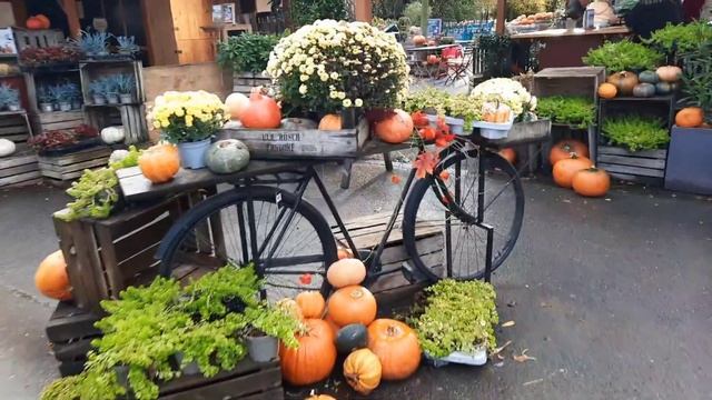 Вкусняшки. Лазанья. Фермерский двор. Дача.#еда#вкусно #семья #жизньсовкусомсчастья #дача #подарки смотреть онлайн