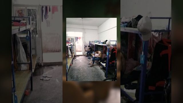 Прикол в баре Бьерхейм, Ижевск, ул.Красногеройская 63б #приколы #comedy #reels #приколы #топ #тренд смотреть онлайн