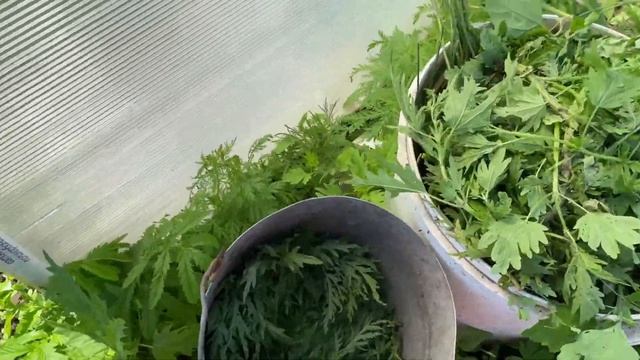 Мукбанг.Приглашаю заработать. смотреть онлайн