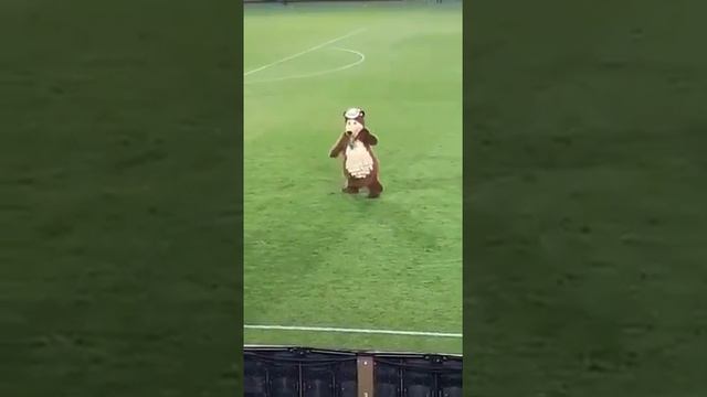 Медведь танцует лезгинку!