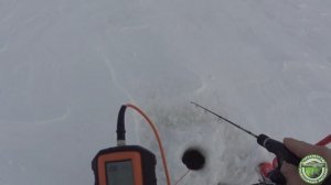 21 СУДАК, ЧТО ТАКОЕ ЗЕЛЕНКА, ЛОВЛЯ СУДАКА НА ЗЕЛЕНКЕ,  ОТКРЫТИЕ ЗЕЛЕНКИ 2021, СУДАК С ПРАКТИКОМ 6М.