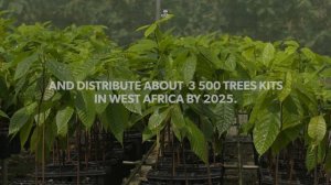 Cacao Barry - Thriving Nature - Trees kits initiative