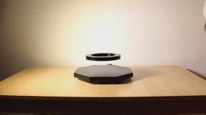 FLY LOGO promo mini
