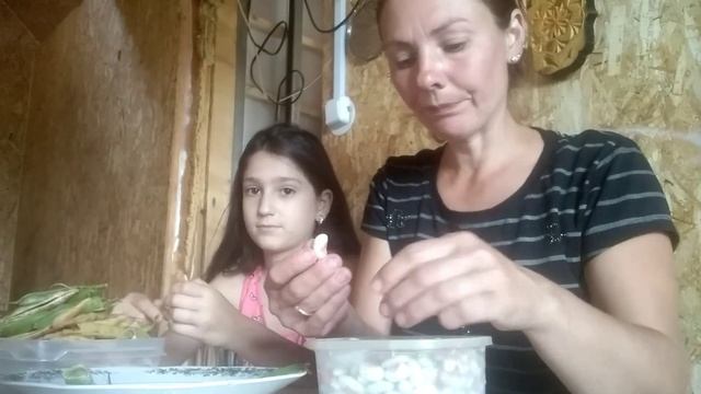 Милана развлекается У нас стреляют.Красивая фасоль.Инкубация.Ремонтантная 🍓 клубника.