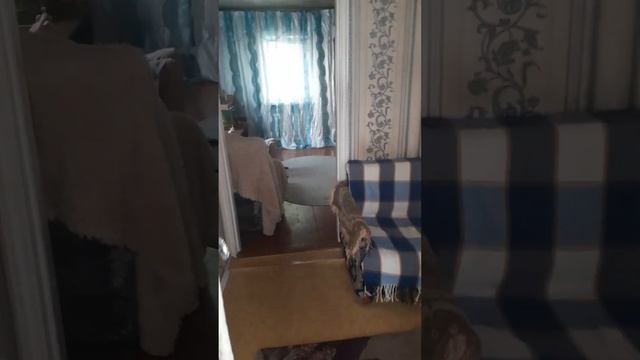 Кушаем плов.Сходили в магазин за клеем для ПВХ. смотреть онлайн