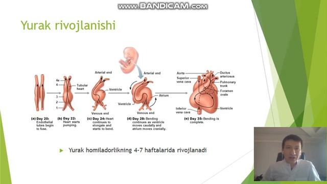 Tug'ma Yurak Nuqsonlari (YTN, ВПС), Sabablari va belgilari, Bobur Turaev, TashPMI klinikasi смотреть онлайн