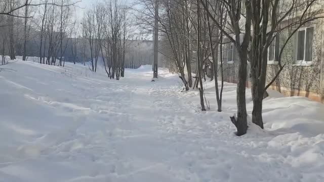 10 Самых Необычных Фактов о Снеге смотреть онлайн