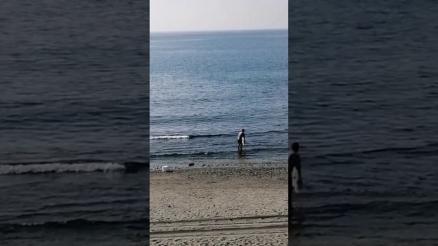 Море отошло от берега в турции 2025