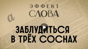 "Эффект слова" (Вып. 13 Заблудиться в трёх соснах)_авторская программа Г.Г. Слышкина (Русский мир)