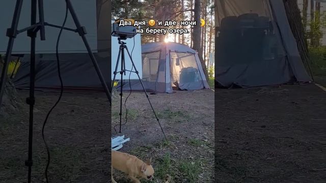 Два дня и две ночи на берегу озера. Отдых на природе, в палатке ⛺. #kemping #беларусь #витебск смотреть онлайн