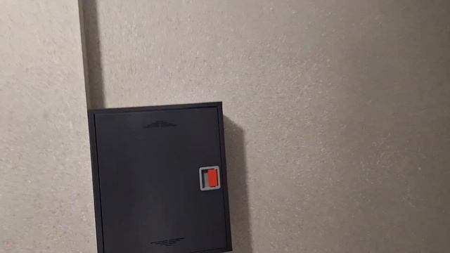 Новости Губернии #115