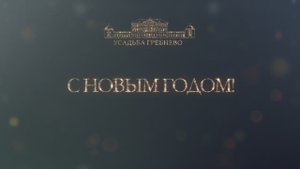 Новый 2025 год в Усадьбе Гребнево