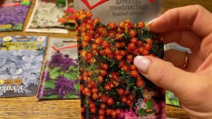 ТОЛЬКО САМЫЕ ЛУЧШИЕ, КРАСИВЫЕ И НЕ ПРИХОТЛИВЫЕ ЦВЕТЫ ДЛЯ УЧАСТКА!!!
