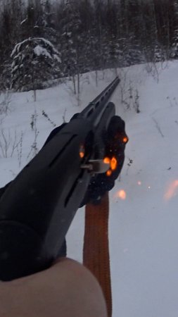МОМЕНТИЩЕ! Охота на зайца с гончей!