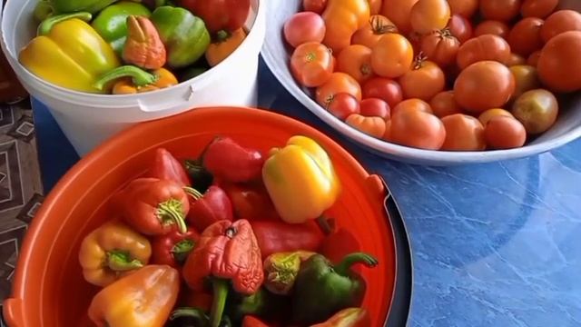 25. Меню на неделю и текущая закупка продуктов (16.08 - 22.08.2021) смотреть онлайн