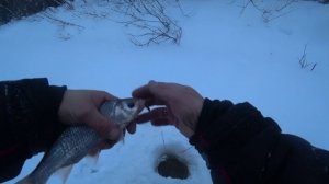 Как мы 2025 год на рыбалке открывали или план Б)))