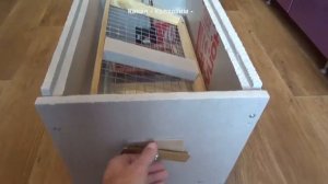 Куриный инкубатор своими руками, аналог Блиц Норма