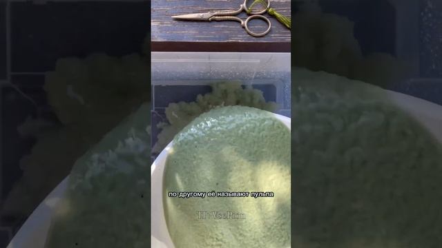 Бумага своими руками 🌾 #бумага #paper бумага ручного литья в домашних условиях смотреть онлайн